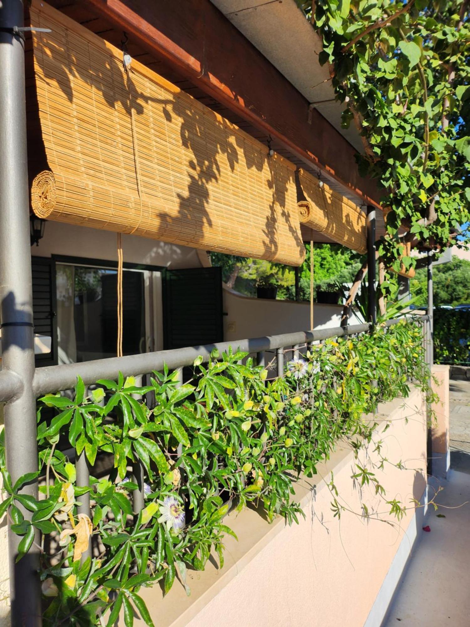 Apartmani Dijana พอดโกรา ห้อง รูปภาพ